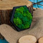 Casa si Gradina - Decoratiuni - Decoratiuni perete - Decor Forma Hexagon HH1531 din lemn Perosnalizat cu Licheni - 20x17 cm - Infinity.ro