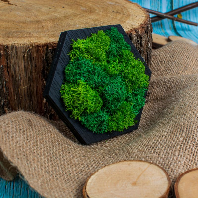Casa si Gradina - Decoratiuni - Decoratiuni perete - Decor Forma Hexagon HH1531 din lemn Perosnalizat cu Licheni - 20x17 cm - Infinity.ro