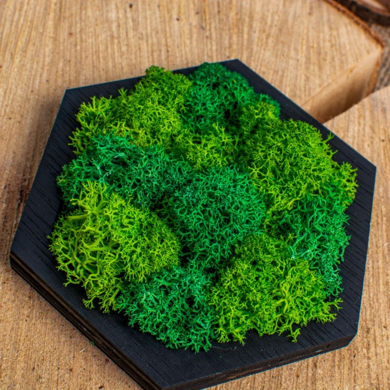 Casa si Gradina - Decoratiuni - Decoratiuni perete - Decor Forma Hexagon Blank HH1511din lemn pentru Licheni - 20x17 cm - Infinity.ro