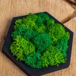 Casa si Gradina - Decoratiuni - Decoratiuni perete - Decor Forma Hexagon HH1531 din lemn Perosnalizat cu Licheni - 20x17 cm - Infinity.ro