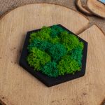 Casa si Gradina - Decoratiuni - Decoratiuni perete - Decor Forma Hexagon HH1531 din lemn Perosnalizat cu Licheni - 20x17 cm - Infinity.ro