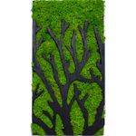 Casa si Gradina - Decoratiuni - Decoratiuni perete - Decor Personalizat Licheni Crengi de Copac din lemn HH1528 - 20 x 40 cm - Infinity.ro