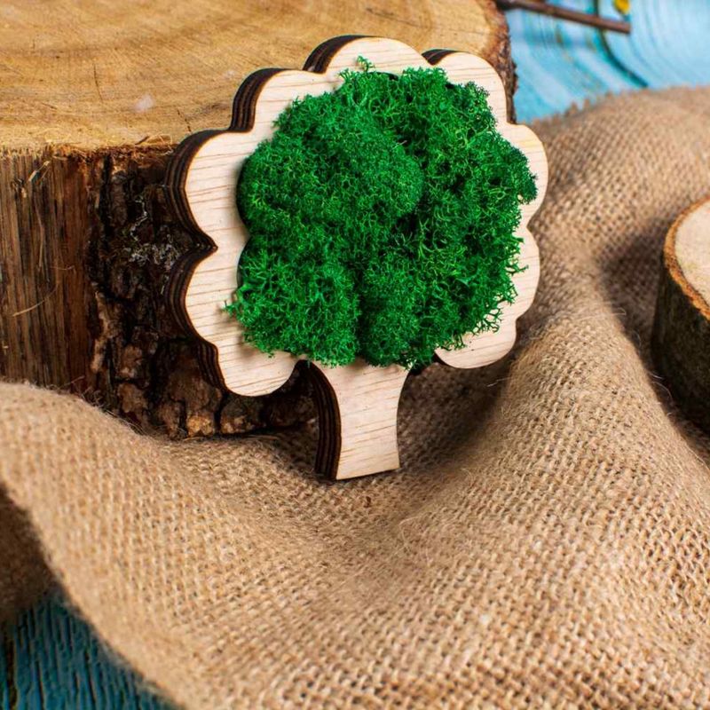 Casa si Gradina - Decoratiuni - Decoratiuni perete - Decor Pom HH1548 din lemn Personalizat cu Licheni 10x9 cm - Infinity.ro