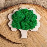 Casa si Gradina - Decoratiuni - Decoratiuni perete - Decor Pom HH1548 din lemn Personalizat cu Licheni 10x9 cm - Infinity.ro