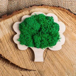 Decor Pom HH1548 din lemn Personalizat cu Licheni 10x9 cm