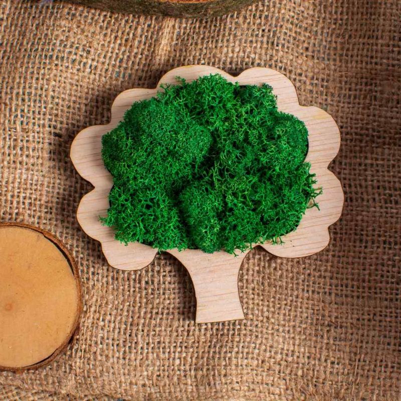 Casa si Gradina - Decoratiuni - Decoratiuni perete - Decor Pom HH1548 din lemn Personalizat cu Licheni 10x9 cm - Infinity.ro