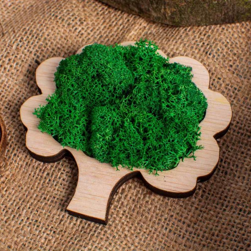 Casa si Gradina - Decoratiuni - Decoratiuni perete - Decor Pom HH1548 din lemn Personalizat cu Licheni 10x9 cm - Infinity.ro