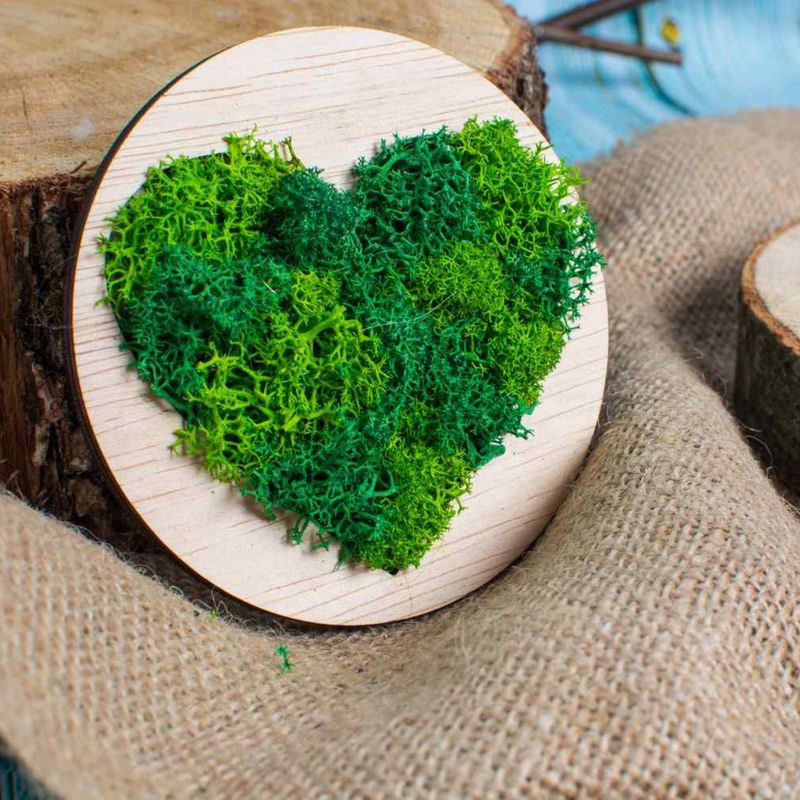 Casa si Gradina - Decoratiuni - Decoratiuni perete - Decor Inima HH1544 din lemn Personalizat cu Licheni - 30x30 cm - Infinity.ro