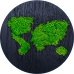 Casa si Gradina - Decoratiuni - Decoratiuni perete - Decor Inconjurul Lumii HH1532 din lemn Personalizat cu Licheni - 35x35 cm - Infinity.ro