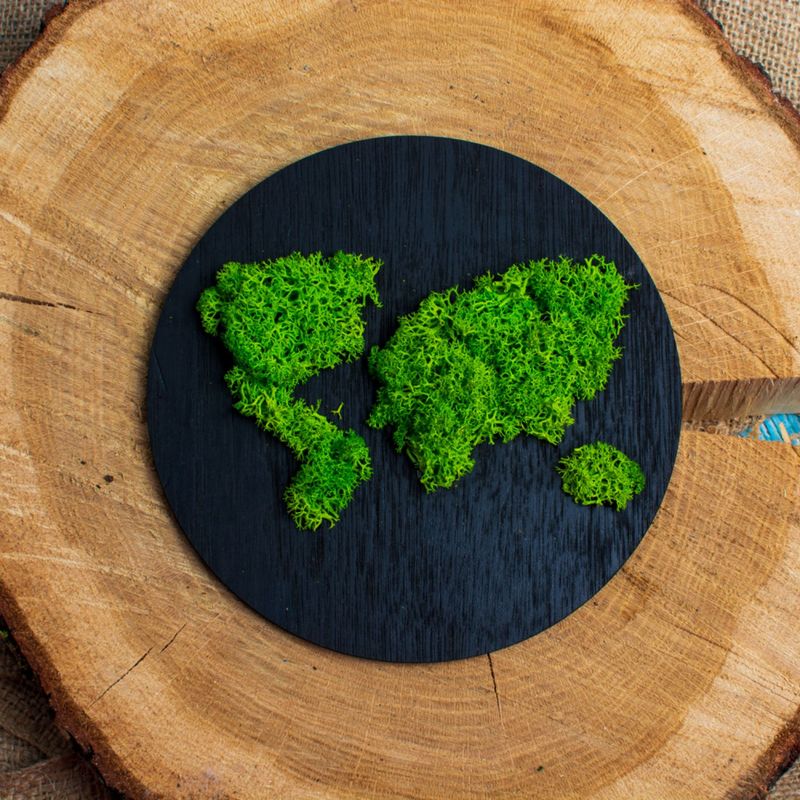 Casa si Gradina - Decoratiuni - Decoratiuni perete - Decor Inconjurul Lumii HH1532 din lemn Personalizat cu Licheni - 35x35 cm - Infinity.ro