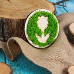 Casa si Gradina - Decoratiuni - Decoratiuni perete - Decor Lalea Blank HH1517 din lemn pentru Licheni - 30x30 cm - Infinity.ro