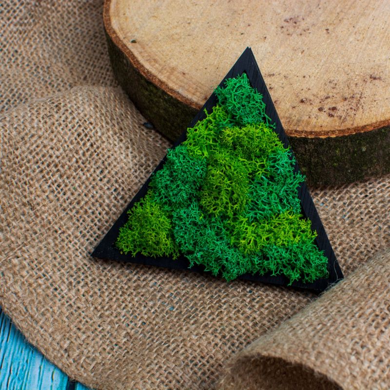 Casa si Gradina - Decoratiuni - Decoratiuni perete - Decor Forma Triunghi HH1541 din lemn Personalizat cu Licheni - 40x35 cm - Infinity.ro