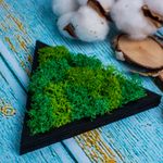 Casa si Gradina - Decoratiuni - Decoratiuni perete - Decor Forma Triunghi HH1541 din lemn Personalizat cu Licheni - 18x15 cm - Infinity.ro