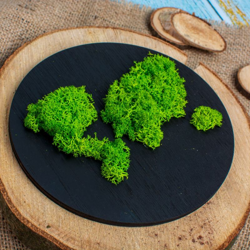 Casa si Gradina - Decoratiuni - Decoratiuni perete - Decor Inconjurul Lumii Blank HH1505 din lemn pentru Licheni - 35x35 cm - Infinity.ro