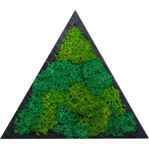 Decor Forma Triunghi HH1541 din lemn Personalizat cu Licheni - 18x15 cm