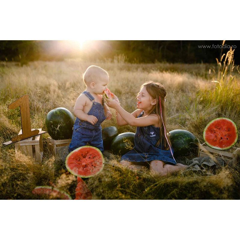 Casa si Gradina - Decoratiuni - Decoratiuni petrecere - Accesorii pentru petrecere - Decor Sedinta foto HH680 Cifra Unu din Lemn 24x30 cm - Infinity.ro