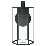 Casa si Gradina - Corpuri si surse de iluminat - Iluminat exterior - Felinare - Lampa exterioara de perete, negru, otel inoxidabil - Infinity.ro