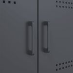 Casa si Gradina - Mobilier - Comode si corpuri - Comode - Dulap, antracit, 100,5x39x79 cm, otel laminat la rece - Infinity.ro