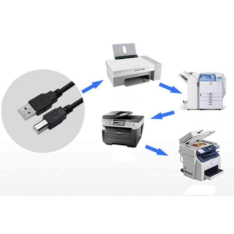 PC, gaming si accesorii - Imprimante, scanere & consumabile - Consumabile si accesorii - Accesorii imprimante - Cablu Imprimanta Usb A-B MRG M987, USB 2.0, 140 cm, USB-A 2.0 la USB-B 2.0 - Infinity.ro