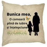 Casa si Gradina - Textile si covoare - Perne si pilote - Perne decorative - Perna Decorativa pentru Bunica 18, 40x40 cm, Husa Detasabila, Burduf - Infinity.ro