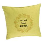 Casa si Gradina - Textile si covoare - Perne si pilote - Perne decorative - Perna Decorativa pentru Bunica 4, 40x40 cm, Verde, Husa Detasabila, Burduf - Infinity.ro
