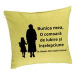 Casa si Gradina - Textile si covoare - Perne si pilote - Perne decorative - Perna Decorativa pentru Bunica 8, 40x40 cm, Verde, Husa Detasabila, Burduf - Infinity.ro