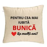 Casa si Gradina - Textile si covoare - Perne si pilote - Perne decorative - Perna Decorativa pentru Bunica 16, 40x40 cm, Bej, Husa Detasabila, Burduf - Infinity.ro