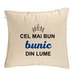 Casa si Gradina - Textile si covoare - Perne si pilote - Perne decorative - Perna Decorativa pentru Bunicul 1, 40x40 cm, Bej, Husa Detasabila, Burduf - Infinity.ro