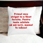 Casa si Gradina - Textile si covoare - Perne si pilote - Perne decorative - Perna Decorativa Patrata Mama Te Iubesc 2,40x40 cm, Alb mat, Husa Detasabila, Burduf - Infinity.ro