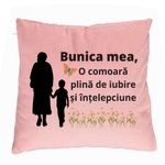 Casa si Gradina - Textile si covoare - Perne si pilote - Perne decorative - Perna Decorativa pentru Bunicul 19, 40x40 cm, Roz, Husa Detasabila, Burduf - Infinity.ro