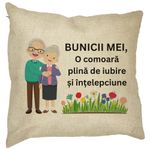 Casa si Gradina - Textile si covoare - Perne si pilote - Perne decorative - Perna Decorativa pentru Bunici 4, 40x40 cm, Husa Detasabila, Burduf - Infinity.ro