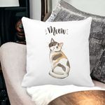 Casa si Gradina - Textile si covoare - Perne si pilote - Perne decorative - Perna Decorativa, Meow, 40x40 cm, Alb mat, Husa Detasabila, Burduf - Infinity.ro