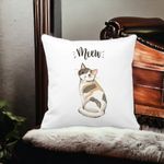 Casa si Gradina - Textile si covoare - Perne si pilote - Perne decorative - Perna Decorativa, Meow, 40x40 cm, Alb mat, Husa Detasabila, Burduf - Infinity.ro