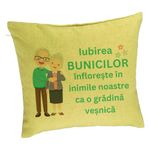 Casa si Gradina - Textile si covoare - Perne si pilote - Perne decorative - Perna Decorativa pentru Bunici 5, 40x40 cm, Verde, Husa Detasabila, Burduf - Infinity.ro