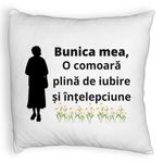 Casa si Gradina - Textile si covoare - Perne si pilote - Perne decorative - Perna Decorativa Fluffy, pentru Bunica 17, 40x40 cm, Alb, Husa Detasabila, Burduf - Infinity.ro