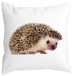 Casa si Gradina - Textile si covoare - Perne si pilote - Perne decorative - Perna Decorativa Arici, 40x40 cm, Alb mat, Husa Detasabila, Burduf - Infinity.ro