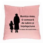 Casa si Gradina - Textile si covoare - Perne si pilote - Perne decorative - Perna Decorativa pentru Bunica 8, 40x40 cm, Roz, Husa Detasabila, Burduf - Infinity.ro