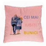 Casa si Gradina - Textile si covoare - Perne si pilote - Perne decorative - Perna Decorativa pentru Bunici 7, 40x40 cm, Roz, Husa Detasabila, Burduf - Infinity.ro