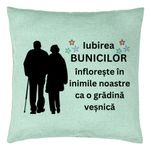 Casa si Gradina - Textile si covoare - Perne si pilote - Perne decorative - Perna Decorativa pentru Bunici 1, 40x40 cm, Verde Menta, Husa Detasabila, Burduf - Infinity.ro