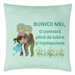 Casa si Gradina - Textile si covoare - Perne si pilote - Perne decorative - Perna Decorativa pentru Bunici 3, 40x40 cm, Verde Menta, Husa Detasabila, Burduf - Infinity.ro