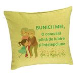Casa si Gradina - Textile si covoare - Perne si pilote - Perne decorative - Perna Decorativa pentru Bunici 3, 40x40 cm, Verde, Husa Detasabila, Burduf - Infinity.ro