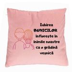 Casa si Gradina - Textile si covoare - Perne si pilote - Perne decorative - Perna Decorativa pentru Bunici 10, 40x40 cm, Roz, Husa Detasabila, Burduf - Infinity.ro