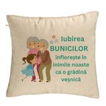 Casa si Gradina - Textile si covoare - Perne si pilote - Perne decorative - Perna Decorativa pentru Bunici 6, 40x40 cm, Bej, Husa Detasabila, Burduf - Infinity.ro