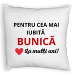Casa si Gradina - Textile si covoare - Perne si pilote - Perne decorative - Perna Decorativa Fluffy, pentru Bunica 16, 40x40 cm, Alb, Husa Detasabila, Burduf - Infinity.ro