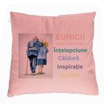 Casa si Gradina - Textile si covoare - Perne si pilote - Perne decorative - Perna Decorativa pentru Bunici 8, 40x40 cm, Roz, Husa Detasabila, Burduf - Infinity.ro
