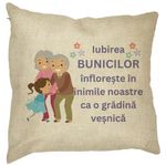 Casa si Gradina - Textile si covoare - Perne si pilote - Perne decorative - Perna Decorativa pentru Bunici 2, 40x40 cm, Husa Detasabila, Burduf - Infinity.ro