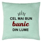 Casa si Gradina - Textile si covoare - Perne si pilote - Perne decorative - Perna Decorativa pentru Bunicul 2, 40x40 cm, Verde Menta, Husa Detasabila, Burduf - Infinity.ro