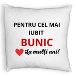 Casa si Gradina - Textile si covoare - Perne si pilote - Perne decorative - Perna Decorativa Fluffy, pentru Bunicul 3, 40x40 cm, Alb, Husa Detasabila, Burduf - Infinity.ro