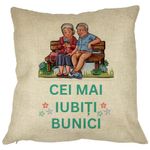 Casa si Gradina - Textile si covoare - Perne si pilote - Perne decorative - Perna Decorativa pentru Bunici 9, 40x40 cm, Husa Detasabila, Burduf - Infinity.ro