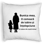 Casa si Gradina - Textile si covoare - Perne si pilote - Perne decorative - Perna Decorativa Fluffy, pentru Bunica 8, 40x40 cm, Alb, Husa Detasabila, Burduf - Infinity.ro